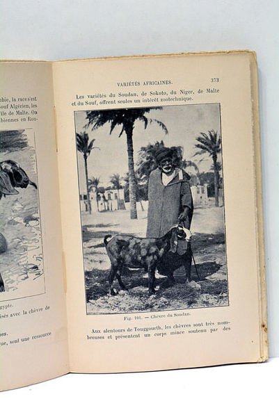 Zootechnie. Moutons, chèvres, porcs France -étranger.