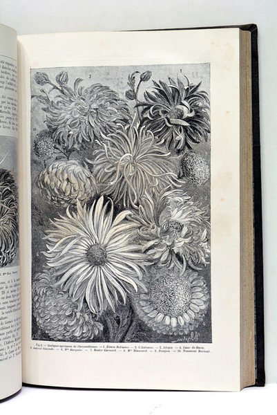 La nature. Revue des sciences et de leurs applications aux …