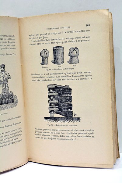 Traité de vinification pratique et rationnelle. Le raisin. Les vinifications.