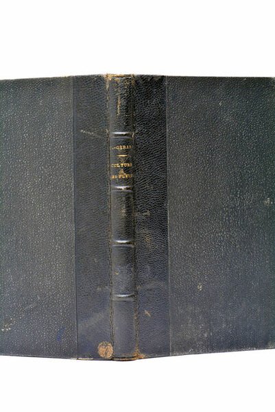 De la culture des fleurs dans les petits jardins sur …