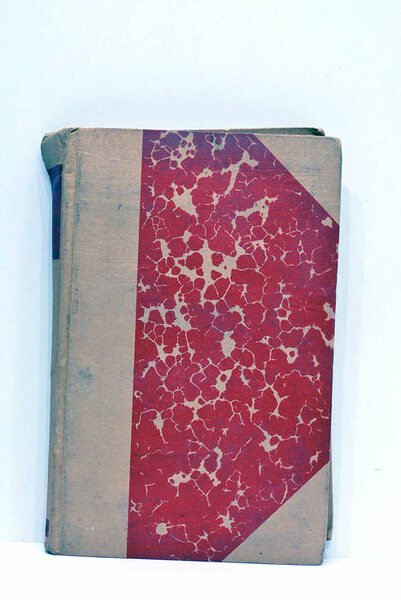 Le tube 1233. Souvenirs d'un chef de pièce. (1915-1916).