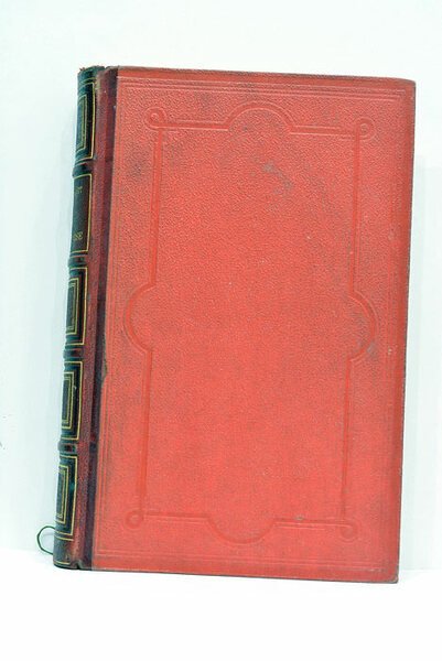 La petite Rose. Ses six tantes et ses sept cousins. …