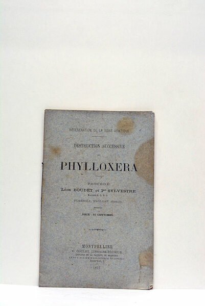 Destruction successive du Phylloxera.