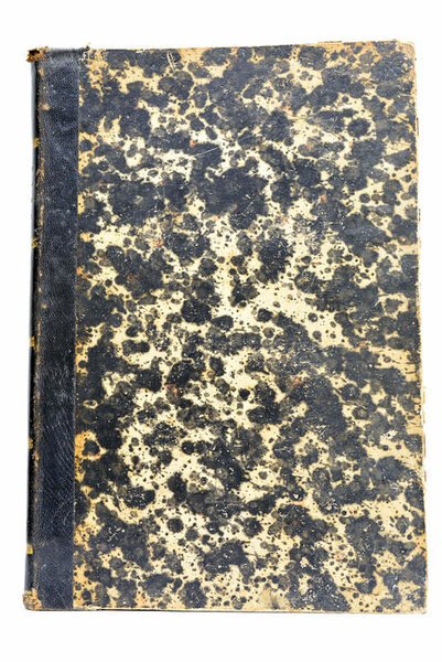 Napoléon le petit. Édition illustrée par MM. J.-P. Laurens, É. …