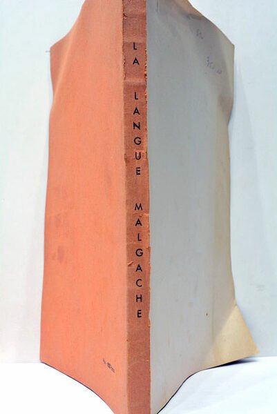 La Langue Malgache en 30 familles de mots. Essai de …