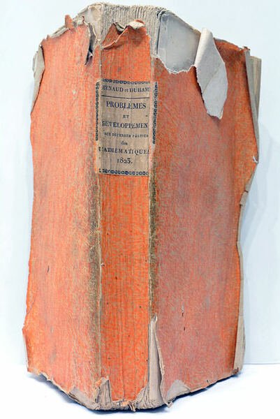 Problèmes et développemens sur diverses parties des mathématiques.