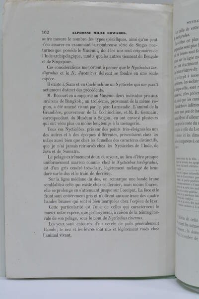 Note sur une nouvelle espèce du genre Nycticèbe provenant de …