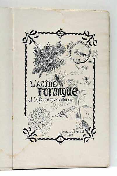 L'Acide Formique et la Force Musculaire.