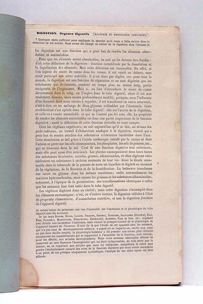 Extrait du Dictionnaire Encyclopédique des Sciences Médicales.