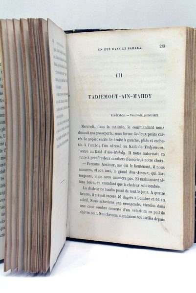 Un Eté dans le Sahara.