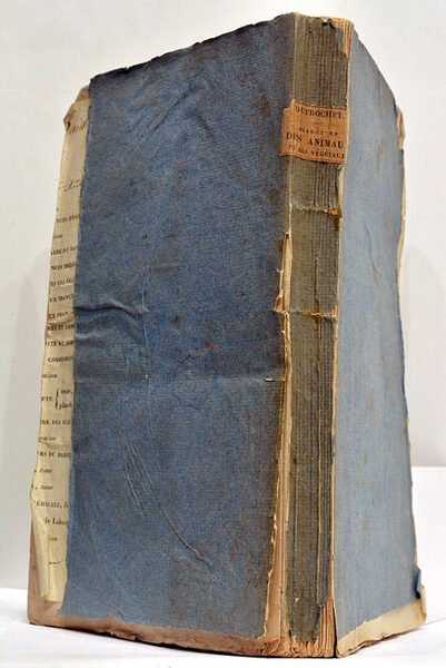 Recherches Anatomiques et Physiologiques sur la Structure intime des Animaux …