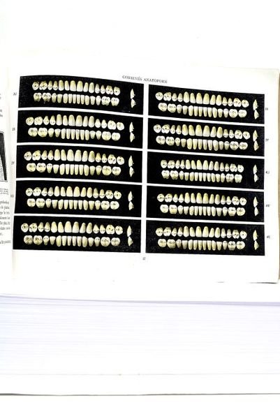 CATALOGUE. Dents pour Travaux de Vulcanite.