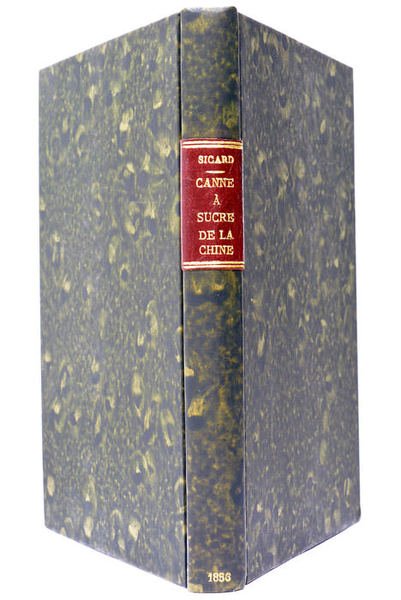 Monographie de la Canne à Sucre de la Chine dite …