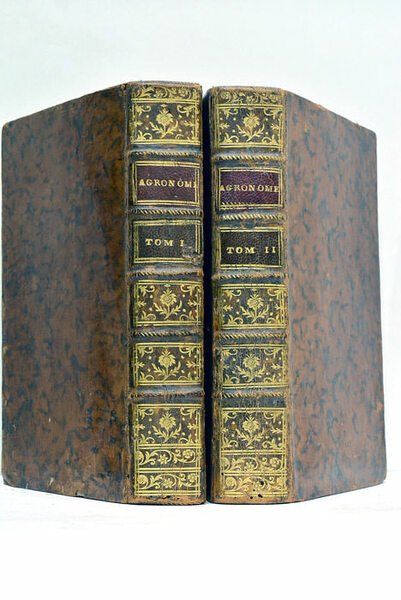 L'Agronome ou Dictionnaire portatif du cultivateur contenant toutes les connoissances …