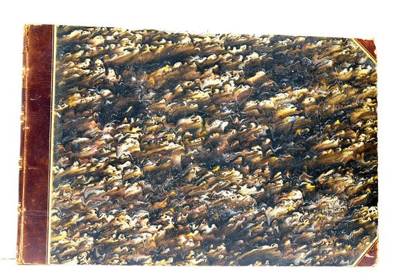 Nuova Raccolta di Cinquanta Costumi Pittoreschi incisi all'acqua forte da …