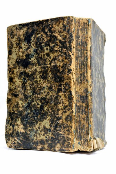 Flammulae Amoris S. P. Agustini, Versibus et Iconibus Exornatae.