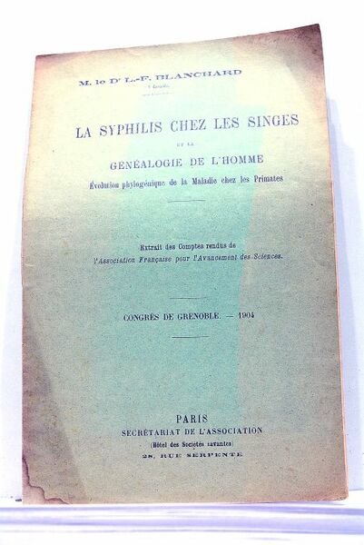 La syphilis chez les singes et la généalogie de l'Homme. …