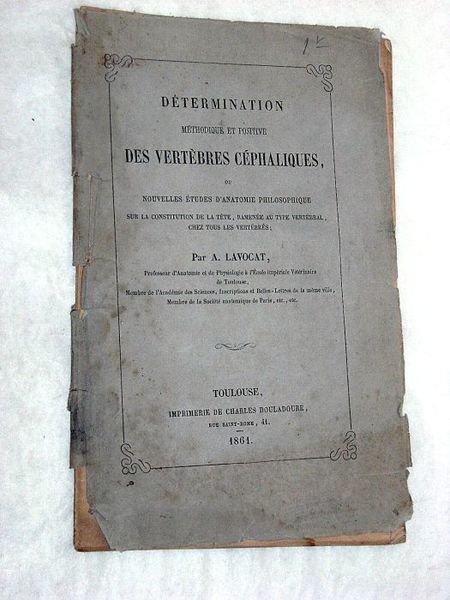 Détermination Méthodique et Positive des Vertèbres Céphaliques, ou Nouvelles Etudes …