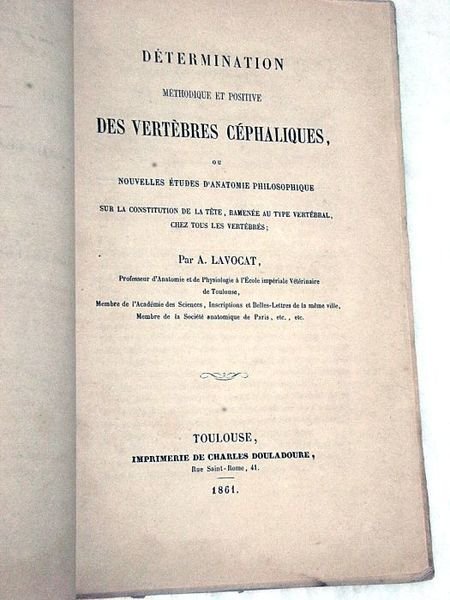 Détermination Méthodique et Positive des Vertèbres Céphaliques, ou Nouvelles Etudes …