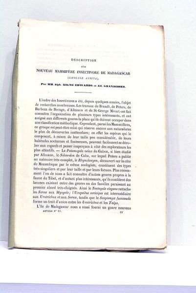Description d'un Nouveau Mammifère Insectivore de Madagascar (Geogale Aurita).