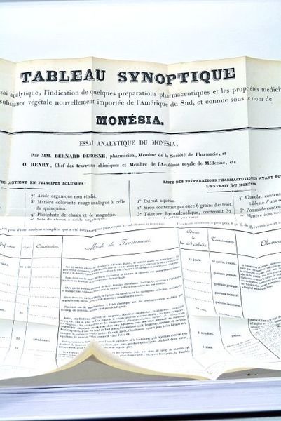 Notice sur le Monésia.