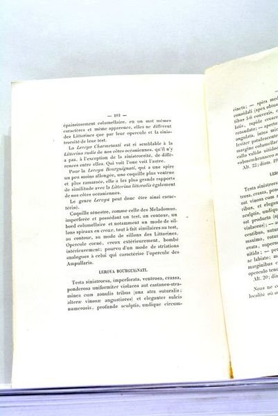 Mollusques de l'Ousaghara, de l'Oukami, etc. (Afrique Equatoriale).