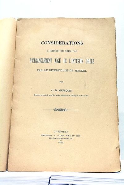 Considérations à propos de deux cas d'Etranglement Aigu de l'Intestin …
