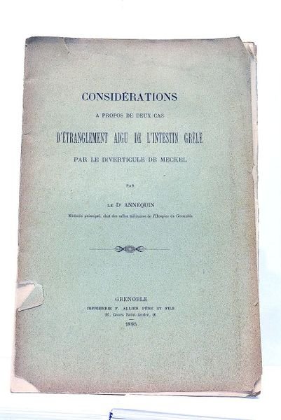 Considérations à propos de deux cas d'Etranglement Aigu de l'Intestin …