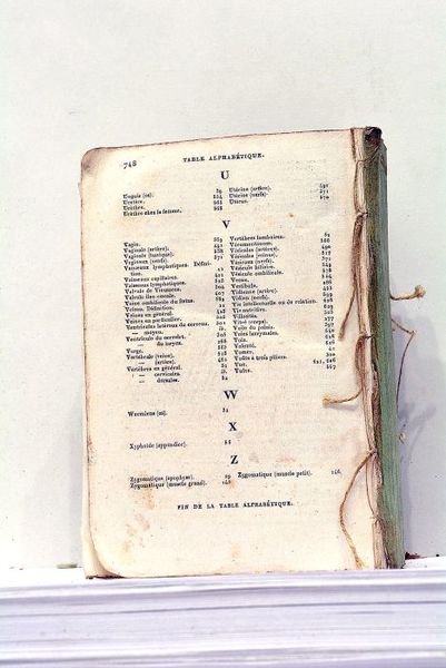 Traité Elémentaire d'Anatomie, ou Description succincte des Organes et des …