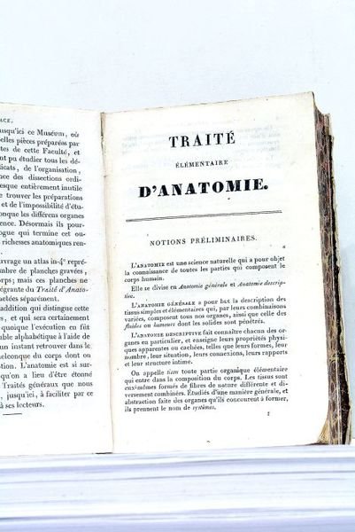 Traité Elémentaire d'Anatomie, ou Description succincte des Organes et des …