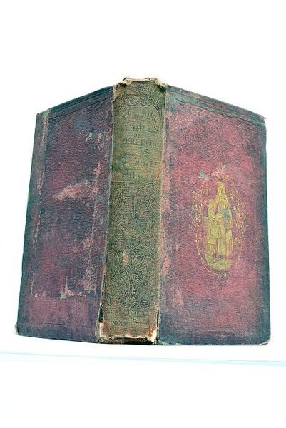 Sketching Rambles; or, Nature in the Alp and Alpennines. Illustrated …