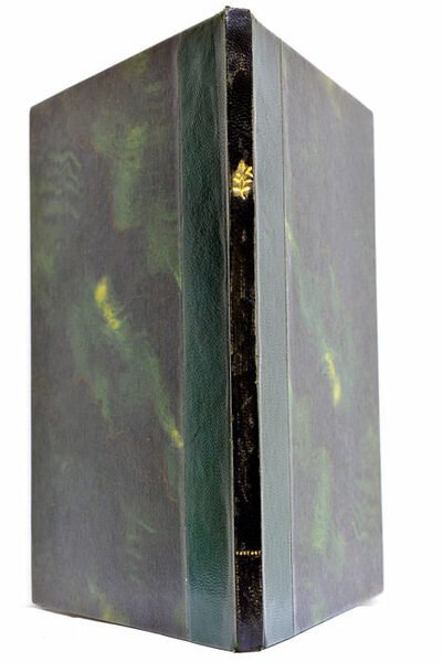 De Legitima Tutela curaq. Electorali Palatina, ex integro ad auream …