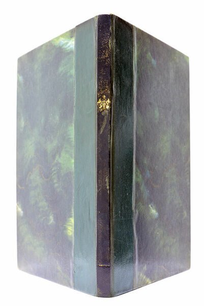 Exemplum Literarum ad serenissimum daniae et Norvegiae regem a Gallico …