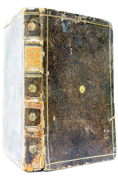 Regulae seu Constitutiones Communes Congregationis Missionis.