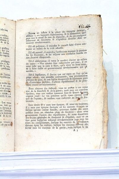 Rapport fait au nom du Comité de Salut Public, sur …