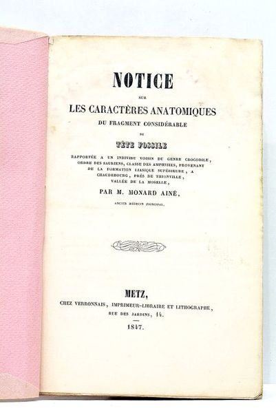 Notice sur les caractères anatomiques du fragment considérable de tête …