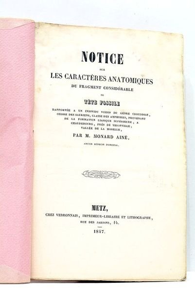 Notice sur les caractères anatomiques du fragment considérable de tête …