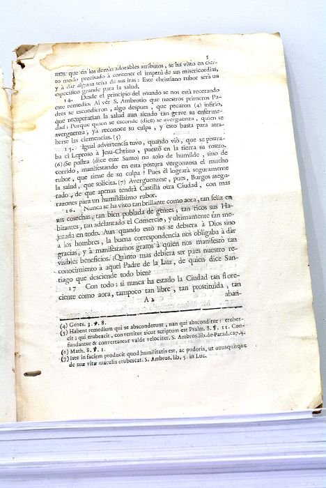 A todos los fieles…