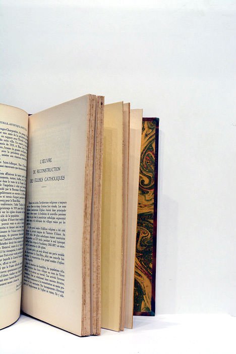 ALSACE (L') DEPUIS SON RETOUR A LA FRANCE. Premier supplément. …