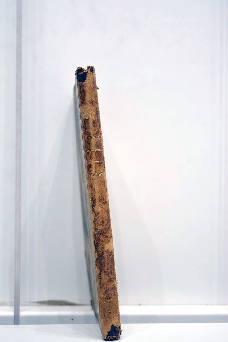 Amaïdée. Poème en prose.