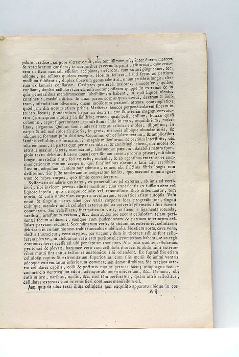 An in Celluloso Textû frequentis morbi et morborum mutationes?