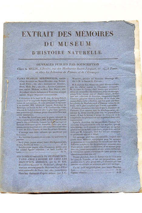 Aperçu Organographique sur le Nombre Deux, considéré comme Multiplicateur de …