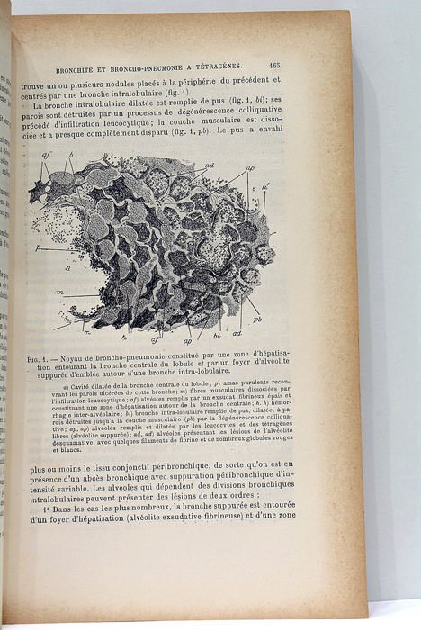 Archives de Médecine Expérimentale et d'Anatomie Pathologique publiées par M.M. …