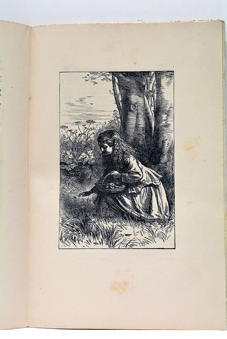 ARMANAC MOUNT-PELIEIRENC PER L'ANNADA MDCCCLXXXXV.