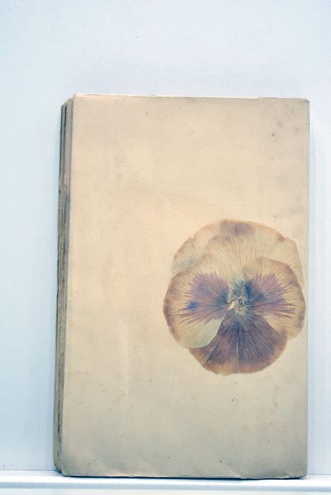 Béatrice devant le désir. Roman.