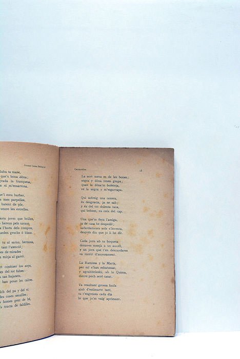 Cantarelles. Rurals i vulgars.