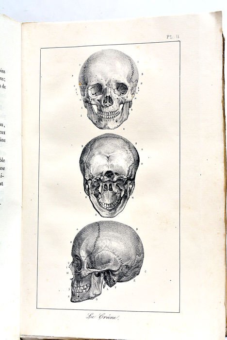 Caracteres Phrènologiques et Physiognomoniques des Contemporains Les Plus Celebres, Selon …