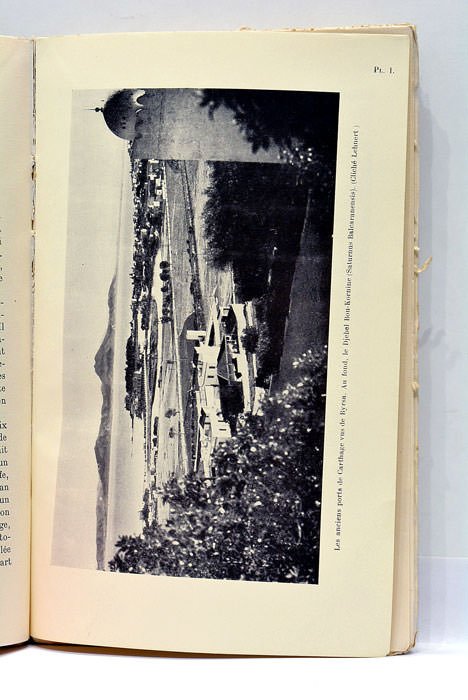 Carthage Punique. 814-146 avant J.-C. Avec 2 cartes, 7 figures …