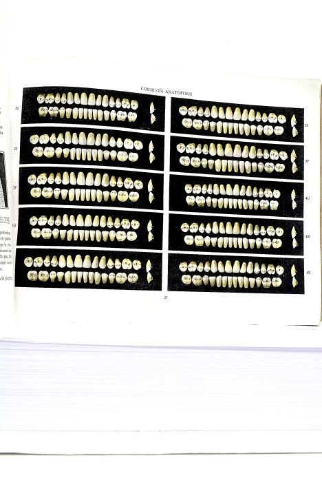 CATALOGUE. Dents pour Travaux de Vulcanite.