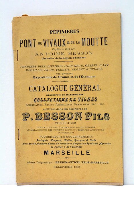 Catalogue général descriptif et illustré des collections de vignes cultivées …